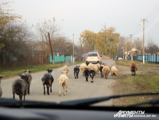 Погода в блечепсине на неделю